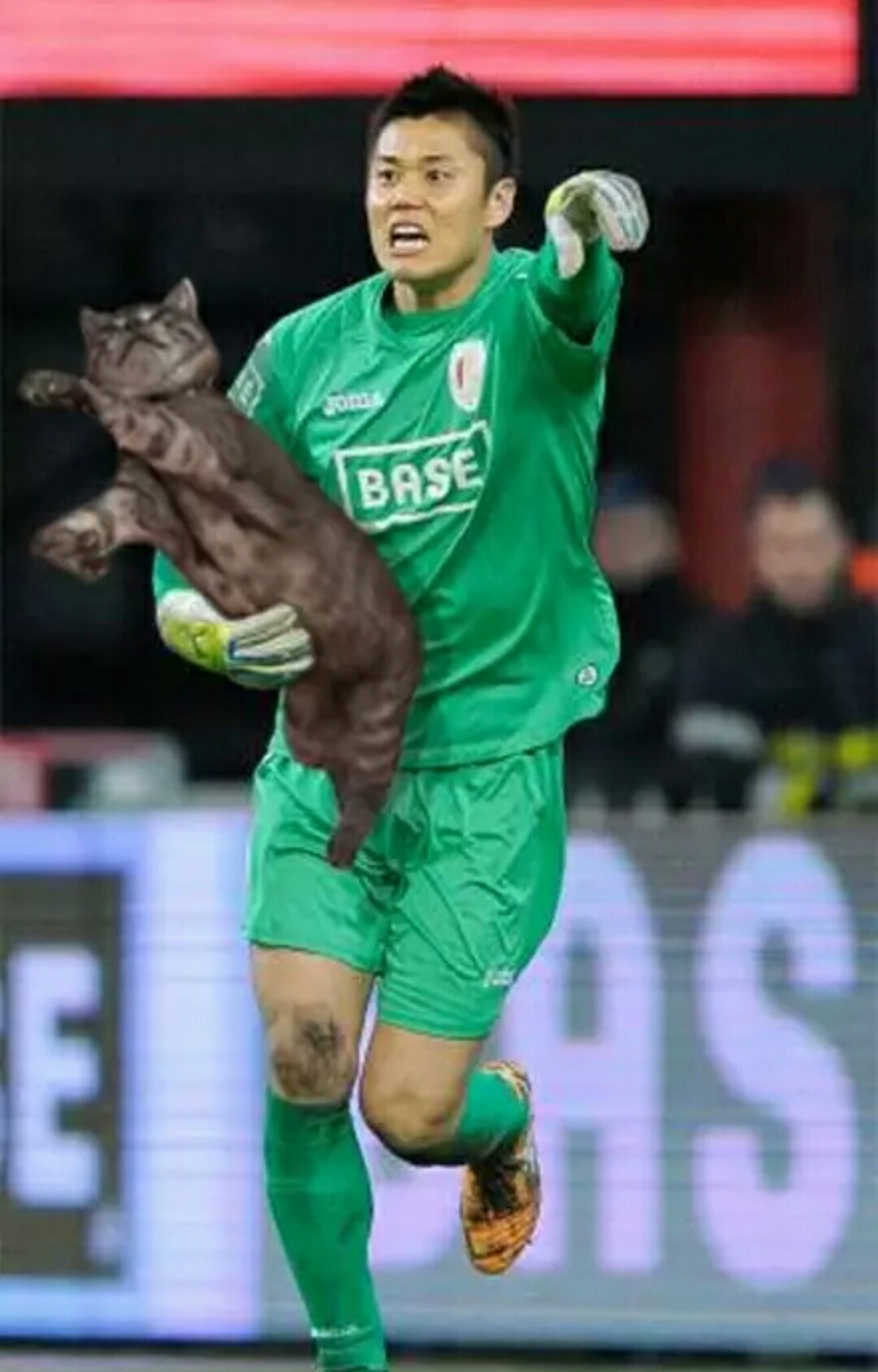 网友把足球p成猫之后，哈哈哈，第一张就笑疯