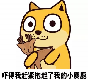 网上看牙科靠谱吗,看牙科网上有什么平台