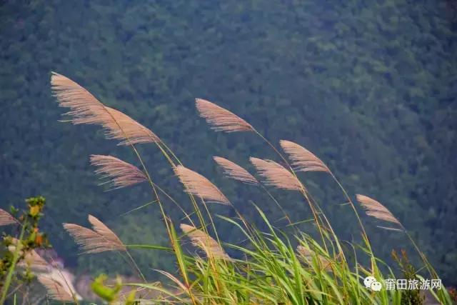 笔架山，一座仙游人必读的山