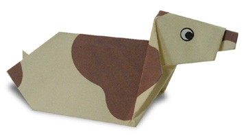 小朋友都学会的折纸方法,都有哪些折纸小技巧