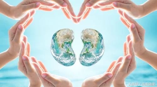 如何通过尿液观察肾脏健康,从尿液判断肾的健康状况视频