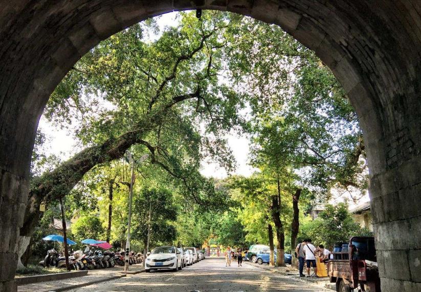 有意思的口音,正宗桂林话大全