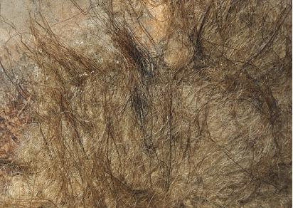 冰河时期的大象叫什么,猛犸象和现在大象有什么区别