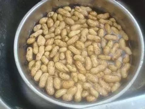 地里刚拔的花生,地里拔出来的新鲜花生吃了好吗