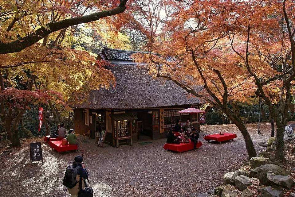 二维码营销案例有哪些,快印客二维码营销做得起来么