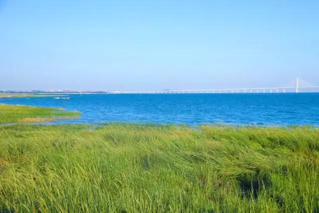 未来东海发展潜力,未来的东海岛怎样