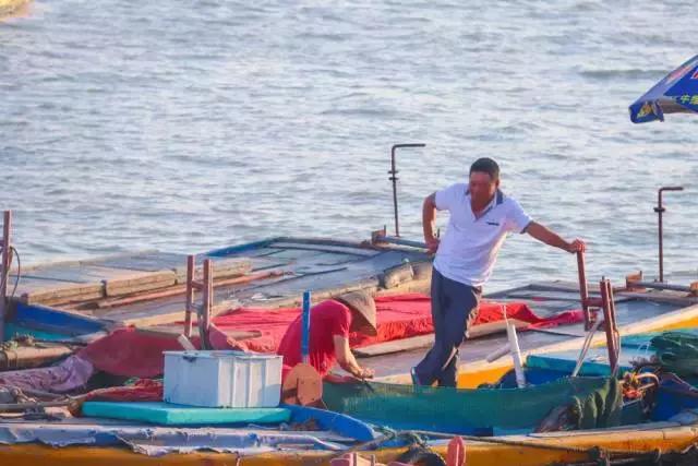 未来东海发展潜力,未来的东海岛怎样