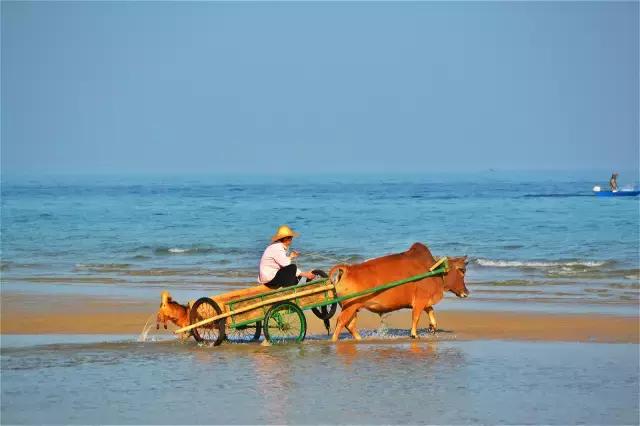 北海涠洲岛五天游攻略,北海涠洲岛自由行详细攻略