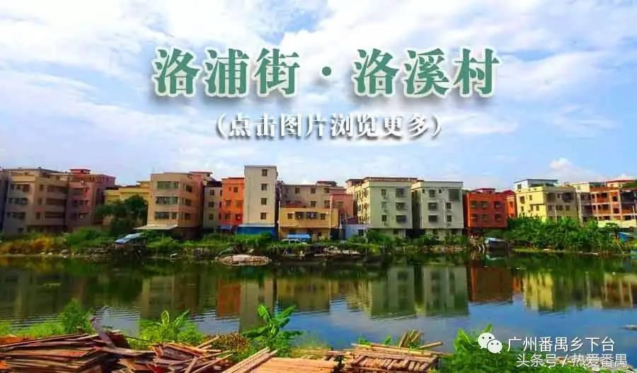 洛溪大桥为啥有个名字,洛溪大桥为什么叫洛溪大桥