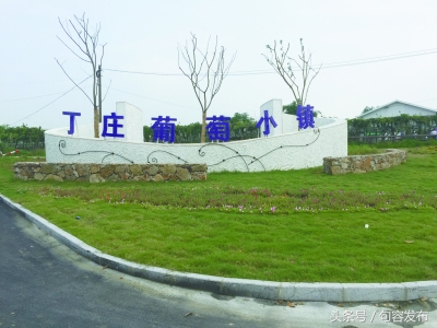 中国句容第十届丁庄葡萄节,中国江苏句容第十届丁庄葡萄节