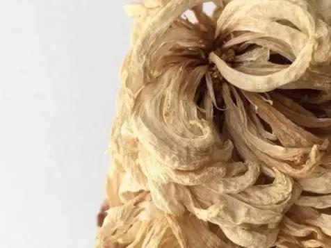 会枯萎腐烂的仿真花,会枯萎的花有什么