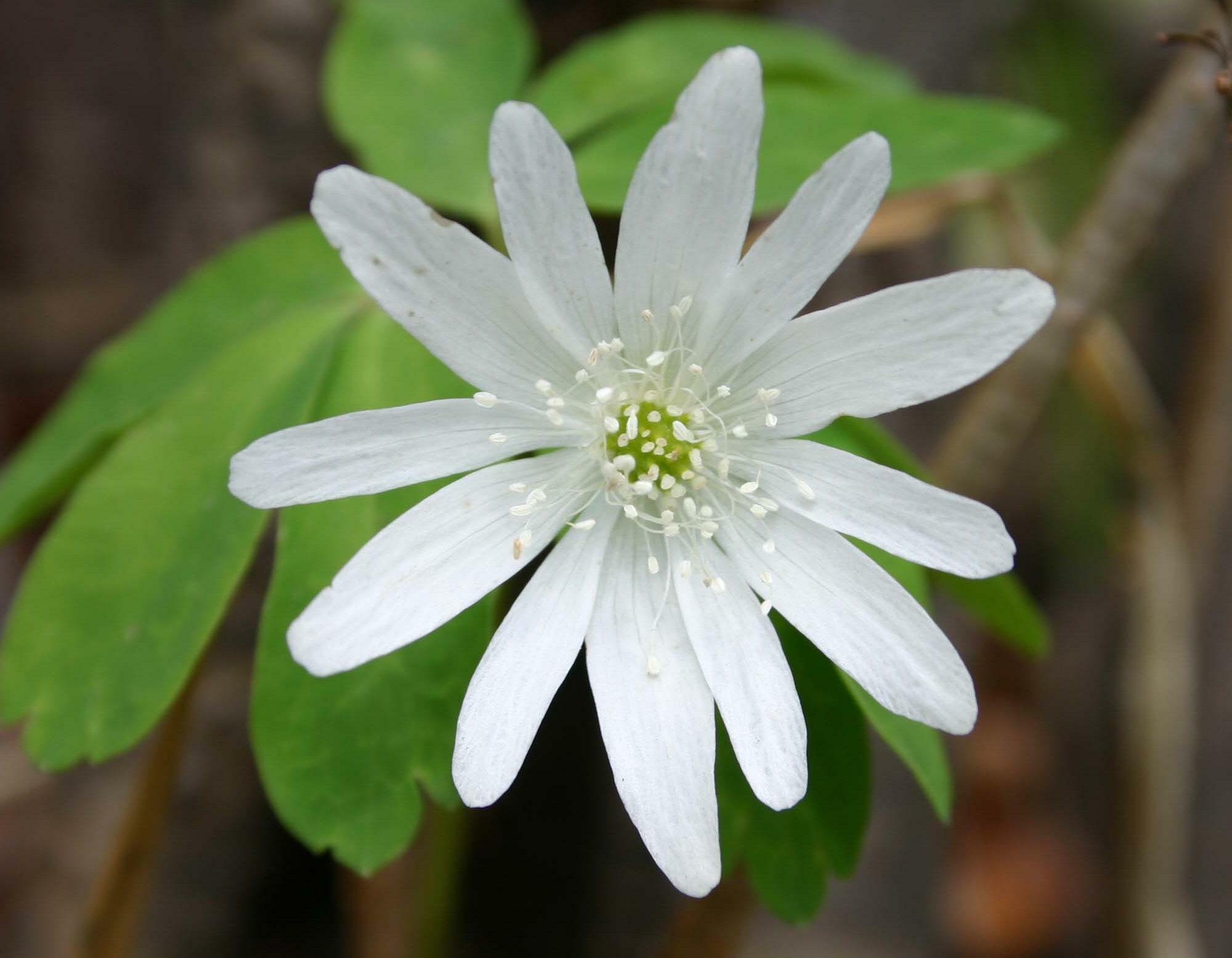 5分钟读懂中国近代史,五分钟读完中国名著视频