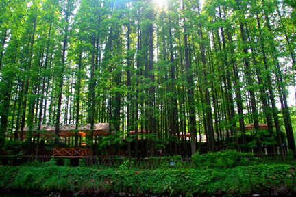 首汽租车自驾游,新手租车旅游路线推荐哪里