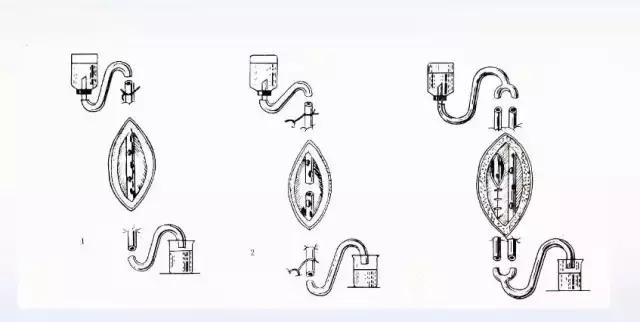 如何促进感染创面的愈合,创面感染怎么办