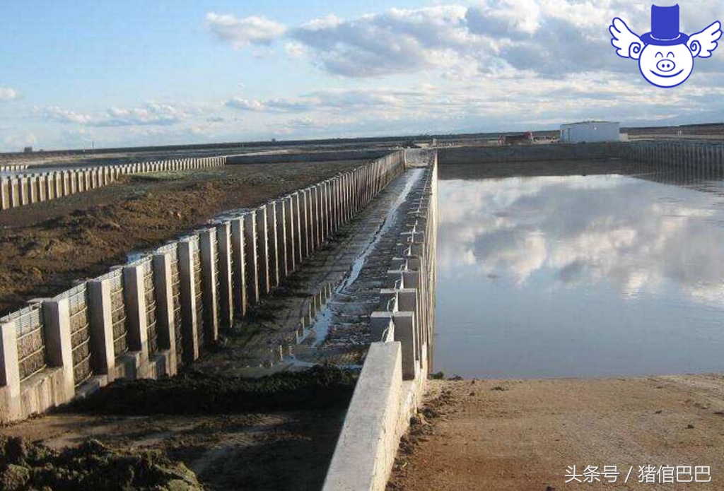 养猪十大问题及解决方法,如何养猪达到零污染