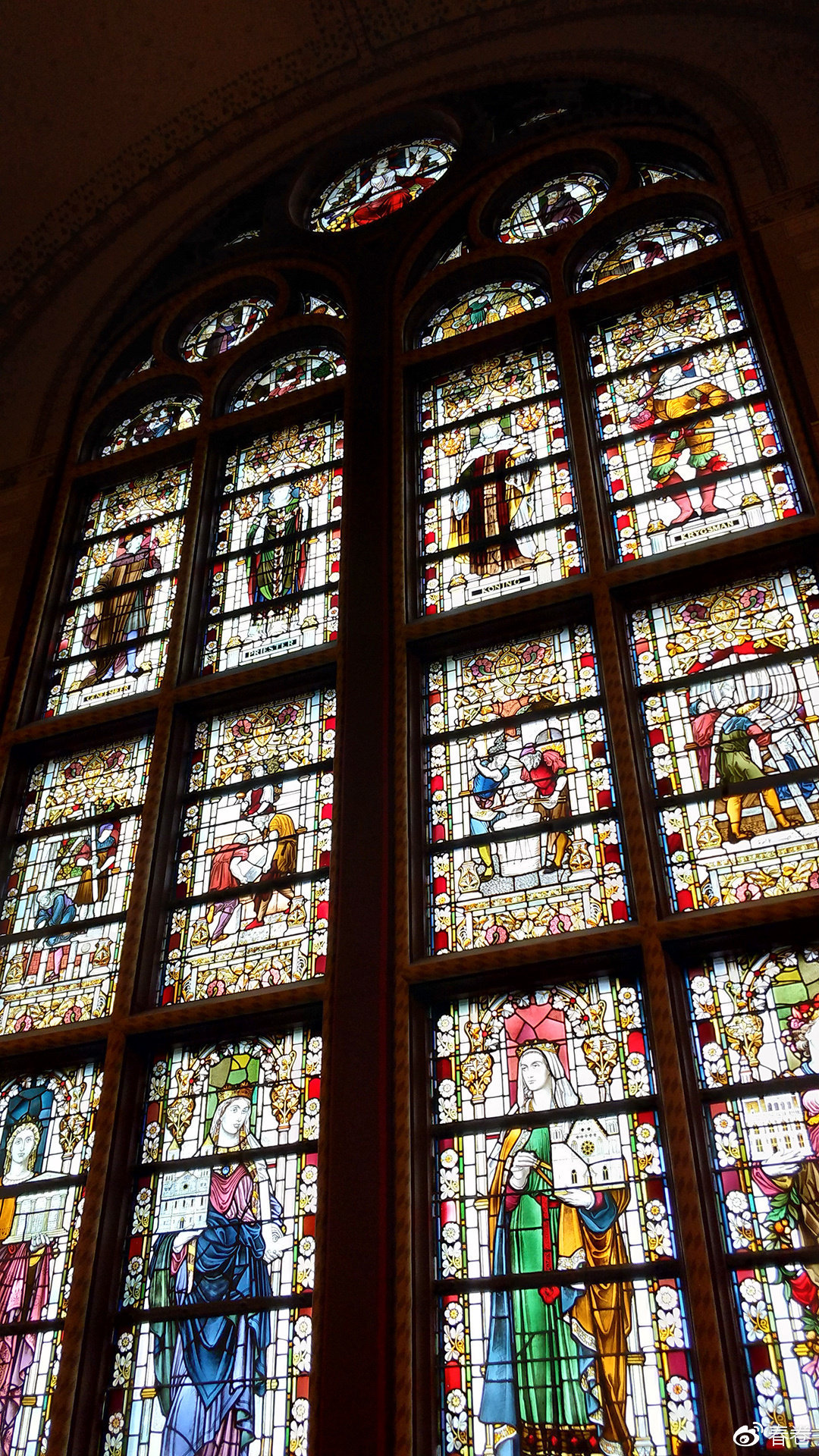 vivoxplay6拍照样张,vivoxplay6图片及参数