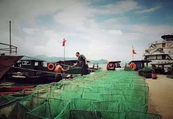 浙江小渔村自驾,浙江小众但绝美的古村