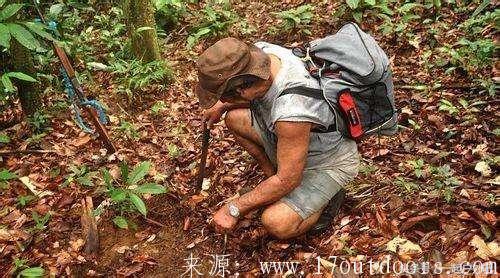 户外如何利用太阳辨别方向,户外辨别方向