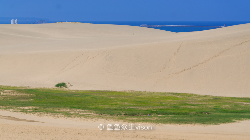 日本东京大阪最值得去的地方,日本大阪深度游攻略