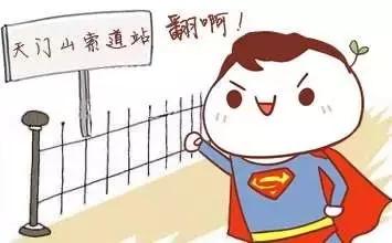 凌晨时导游还不睡，原来一直怪错他们