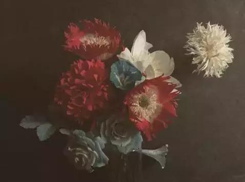 会枯萎腐烂的仿真花,会枯萎的花有什么