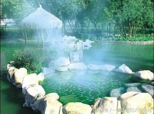 大学生假期无聊可以学点什么,大学生太无聊了怎么打发时间