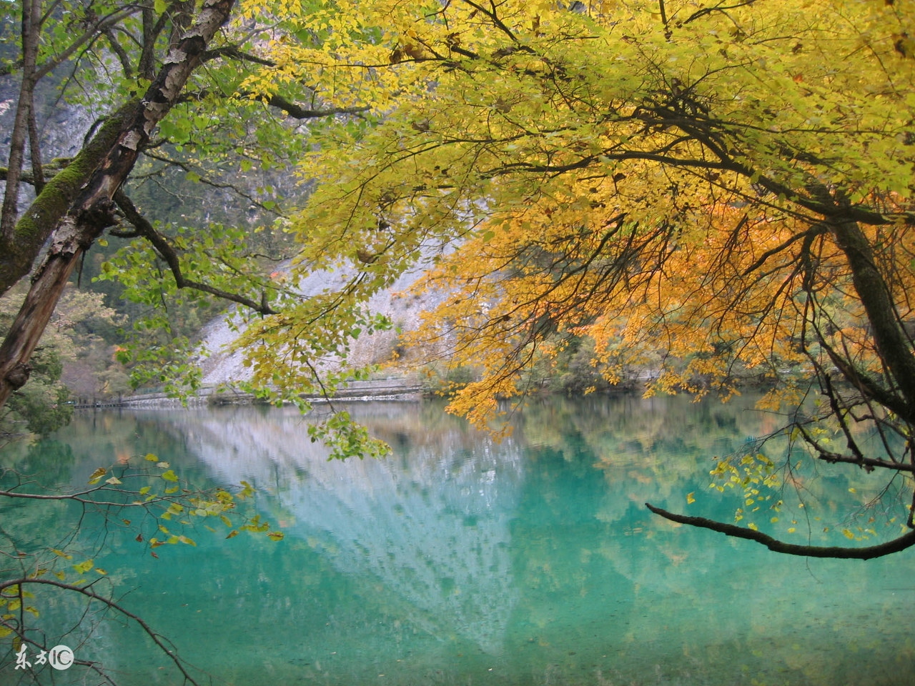 鎬庝箞鍒ゆ柇瀹堕噷鏈夋病鏈夊噣姘村櫒,鎬庝箞鐭ラ亾瀹堕噷鏈夋病鏈夊噣姘村櫒