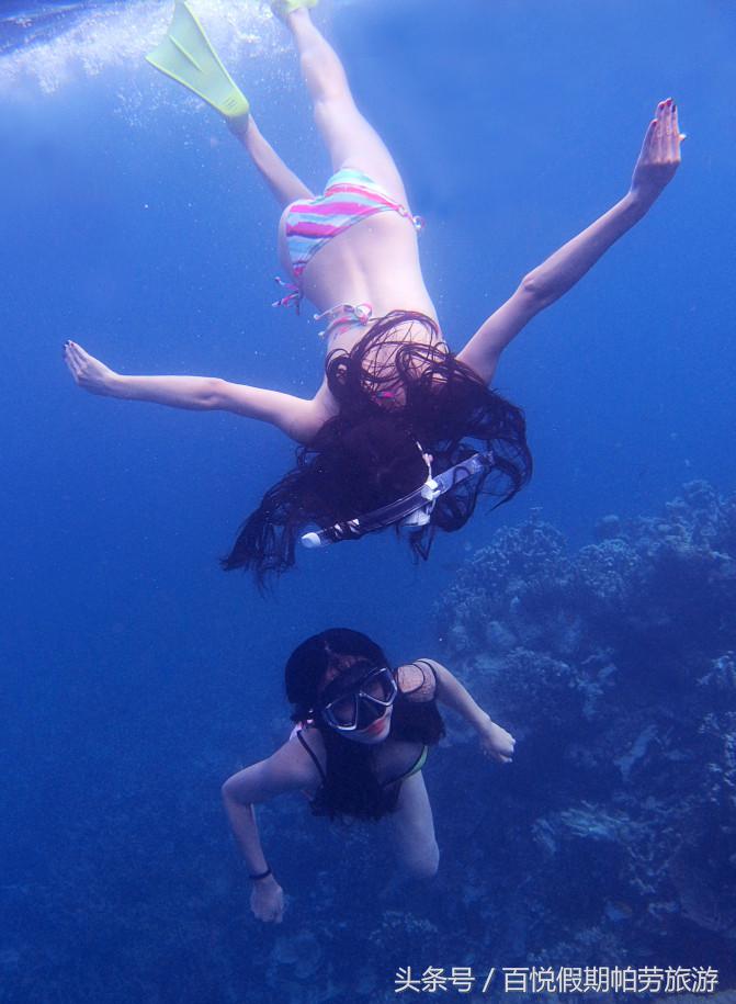 帕劳百悦旅行社,百悦旅游