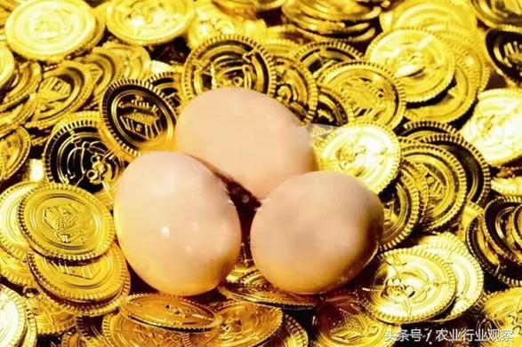 如何实现企业的高收益,如何实现公司价值最大化目标