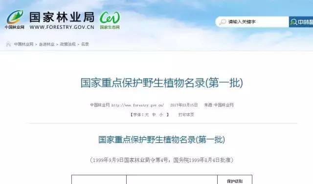 北方室外过冬的盆景对节白蜡盆景,小叶女贞和对节白蜡哪个适合盆景