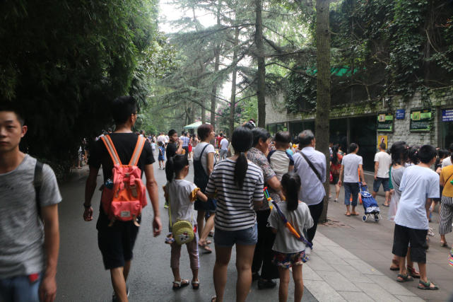 成都动物园看各种动物,成都动物园周末打卡景点