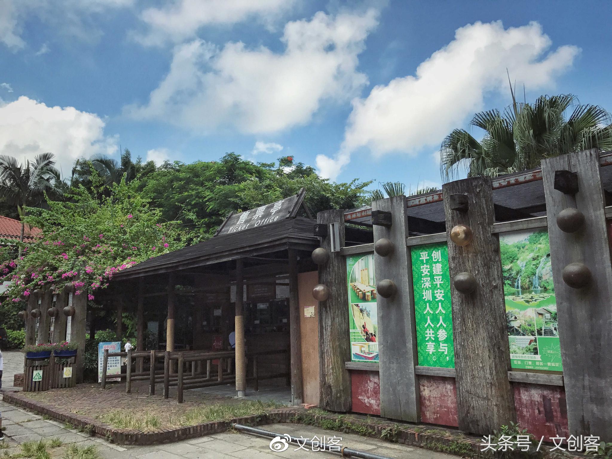 深圳青青世界累吗,深圳青青世界夏天热吗