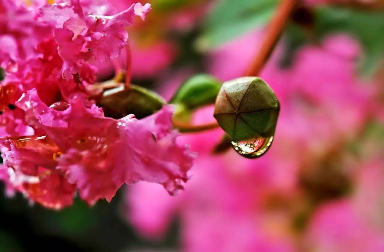 你好！我的名字叫惠州，这是我的名片