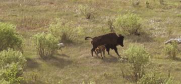 豆瓣9.7的冷门好片，送给每个热爱生命的人