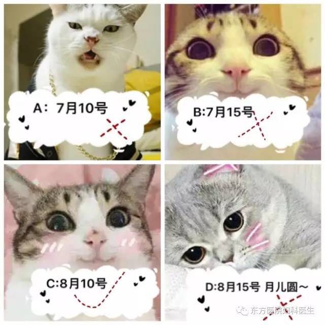 妇科栓剂投药正确姿势,女性妇科正确检查姿势