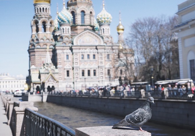 圣彼得堡旅行记忆,圣彼得堡旅行日记