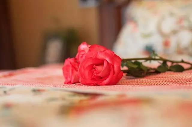 深圳海边民宿适合小朋友的民宿,青岛海边客栈民宿