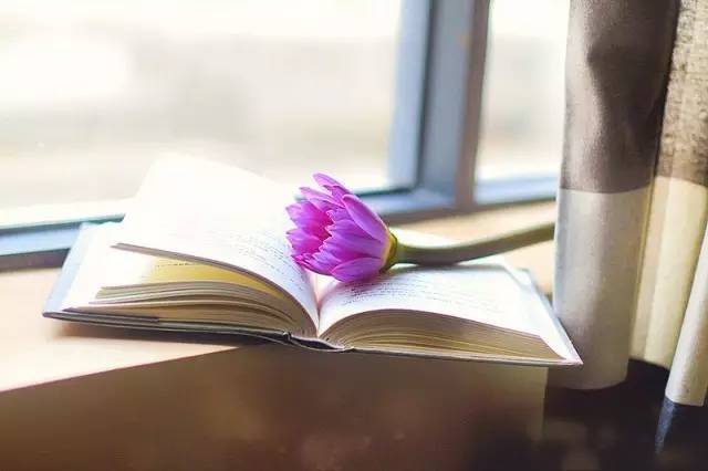 深圳海边民宿适合小朋友的民宿,青岛海边客栈民宿