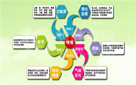 哮喘发作预防和处理方法,哮喘犯了应该怎么处理好