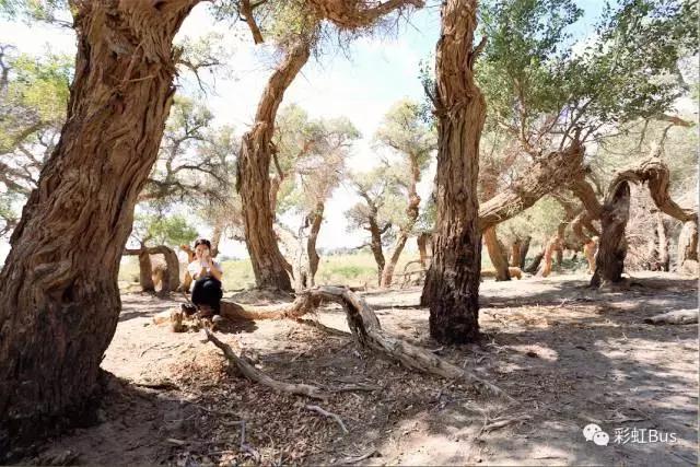 90后情侣骑摩托在额济纳，不小心拉了次最贵的屎