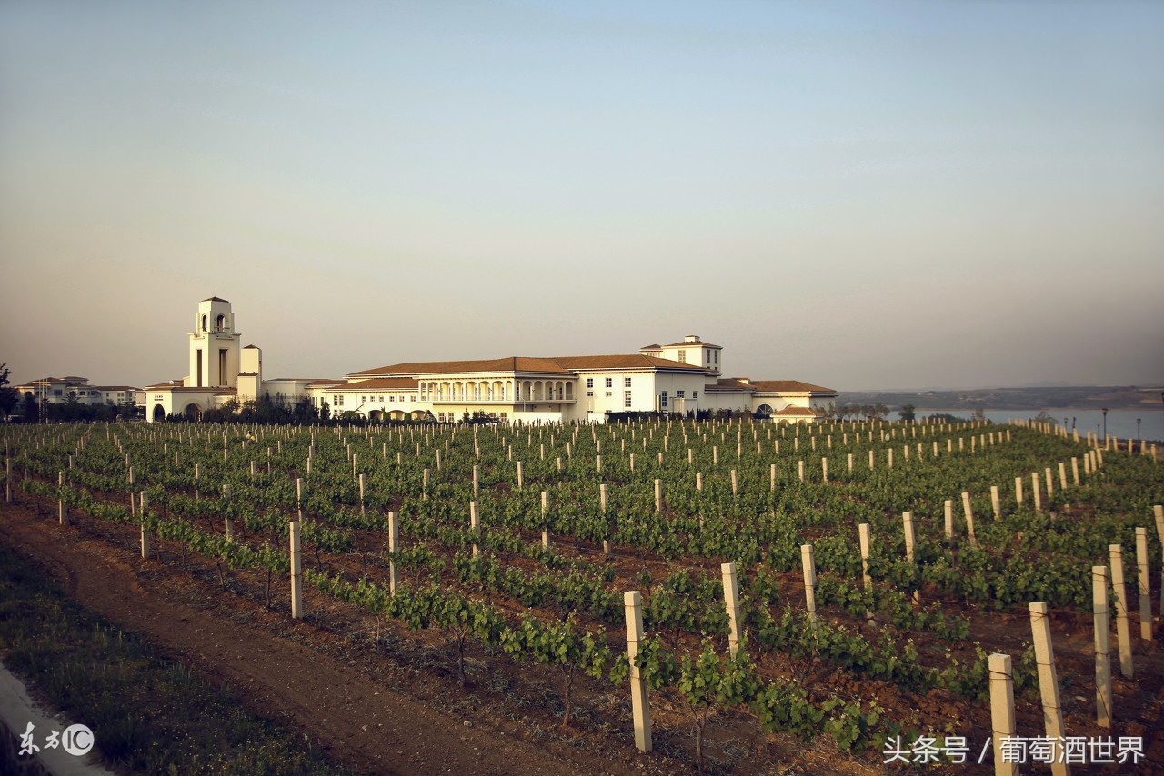 禾富酒庄2016年红酒,澳洲禾富酒庄介绍