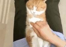 农药上瘾，追剧疯狂，眼睛还要不要了？！