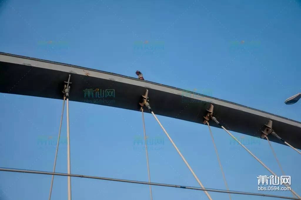 这座大桥曾承载了多少人的梦想,莆田最新大桥消息