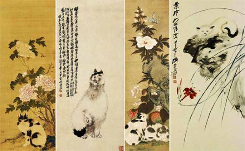 猫主子的真实生活,你真的懂自家猫主子吗