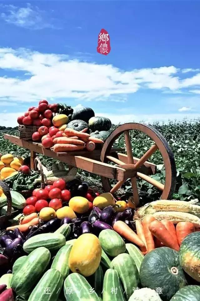 日本民众抢疯蔬菜,日本人抢购中国食物