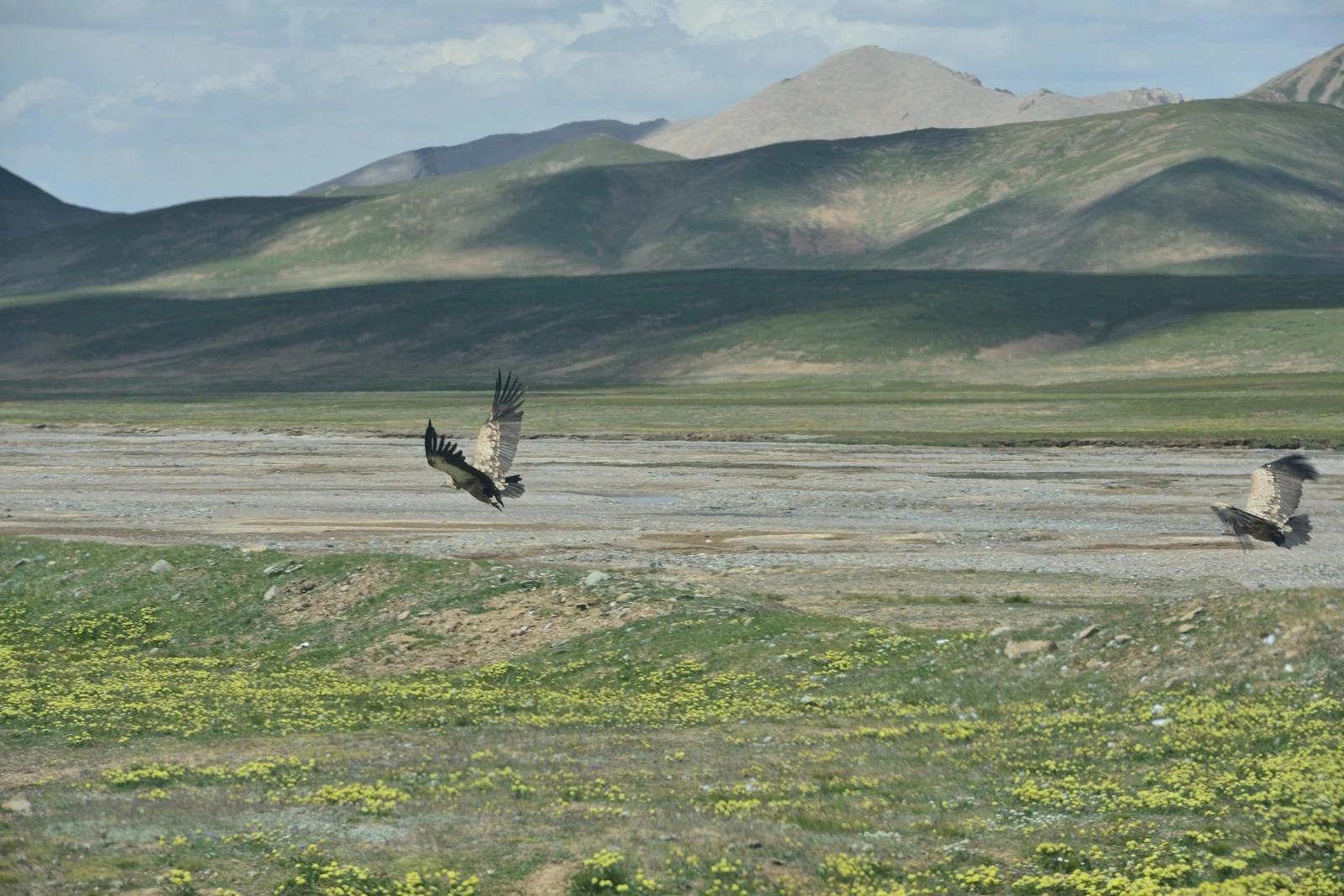 鐏电杞笘闈掓捣,杞笘鐏电闈掓捣