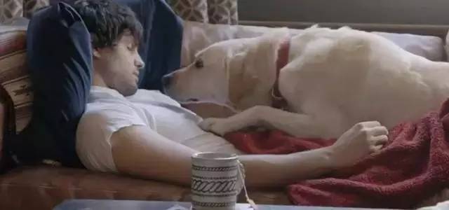 papi酱鬼畜教程,papi酱经典鬼畜