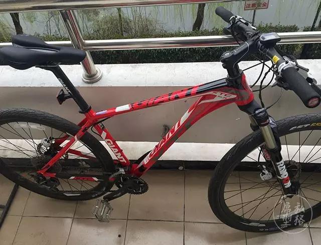 爱骑单车的男生,男生骑单车姿势超帅