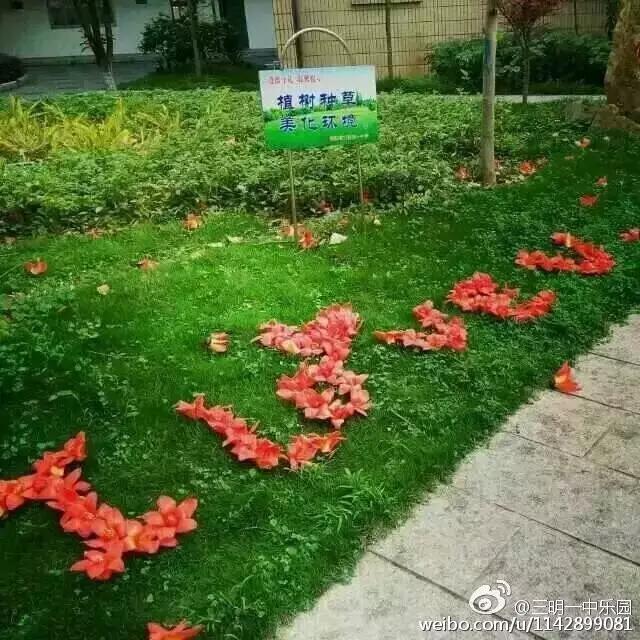 在三明上学的好处,在三明学院上学