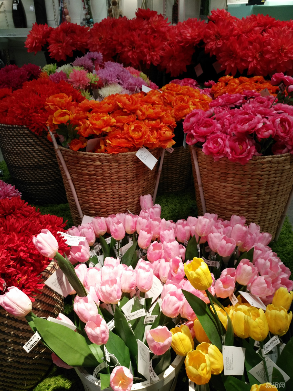 3698元买vivoxplay5值得吗,测评1699